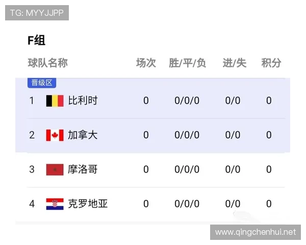 2022卡塔尔世界杯赛事回顾与球队表现分析