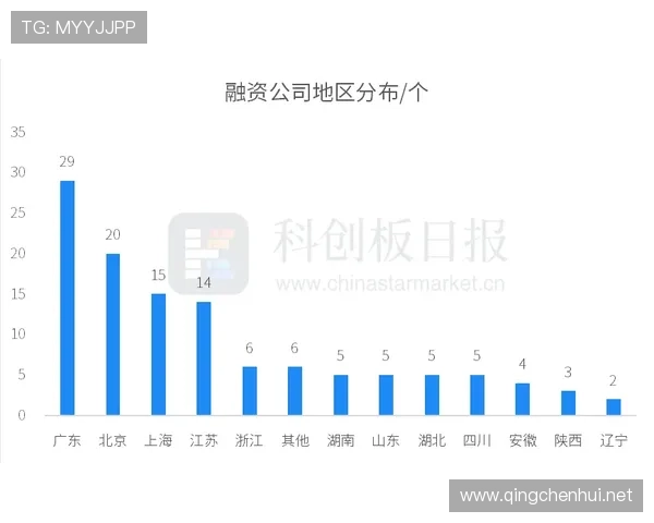 B费本赛季助攻数据持续提升，表现稳健