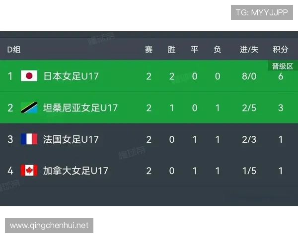 世界杯D组土耳其战绩：一胜两负排名第四
